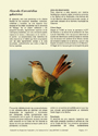 Guía de los Espacios Naturales y Fauna en la Costa del Sol Occidental