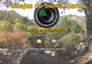 Paisajes de Sierra Blanca (Marbella, Málaga)